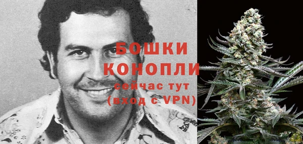 PSILOCYBIN Иноземцево