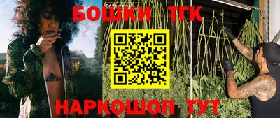 тгк Аргун