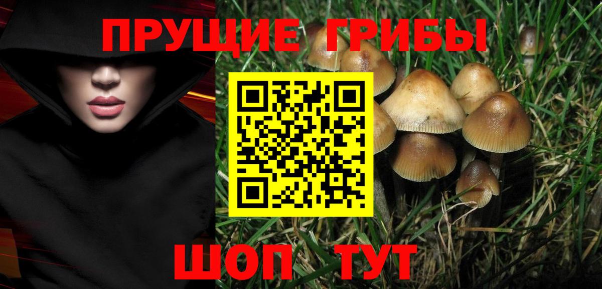 Галлюциногенные грибы MAGIC MUSHROOMS Ачинск