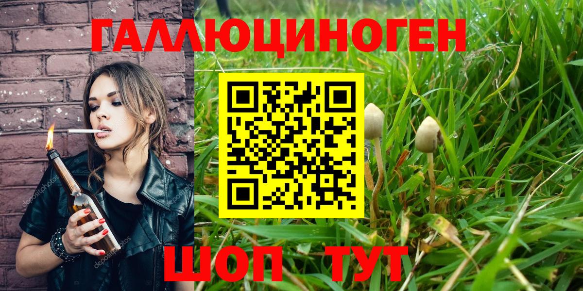 Псилоцибиновые грибы Magic Shrooms  Вход с VPN  Ачинск 